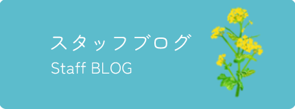 スタッフブログ